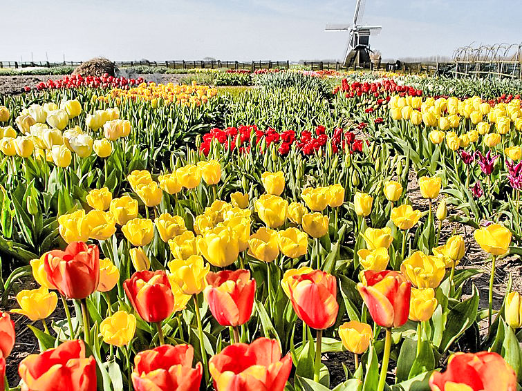 Foto van exterieur van Vakantiehuis Noordwijk