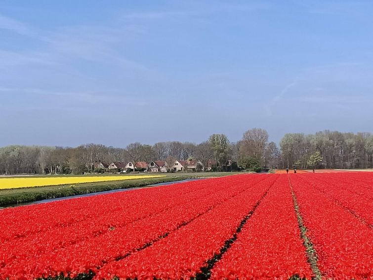 Foto van exterieur van Vakantiehuis Noordwijk