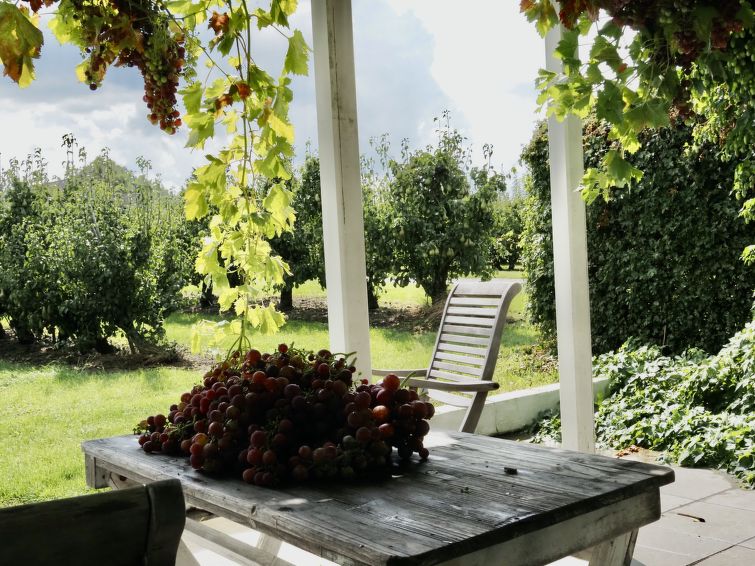 Foto van exterieur van Vakantiehuis Zaamslag