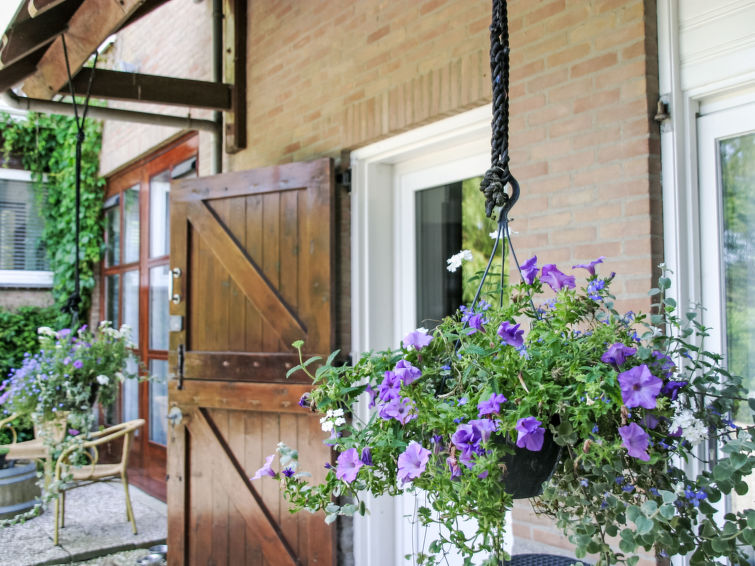 Foto van exterieur van Vakantiehuis Wissenkerke Foto van exterieur van Vakantiehuis Wissenkerke