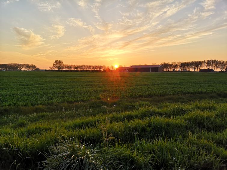 Foto van exterieur van Vakantiehuis Breskens