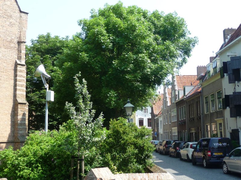 Exterieur NL-ZL-0284