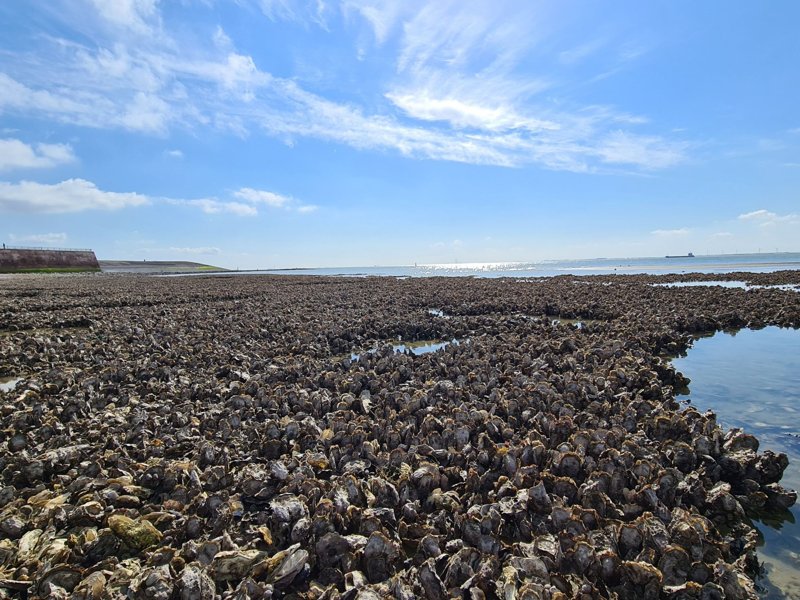 Exterieur NL-ZL-0284