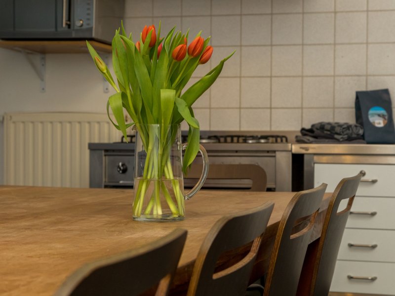 Exterieur NL-ZL-0287