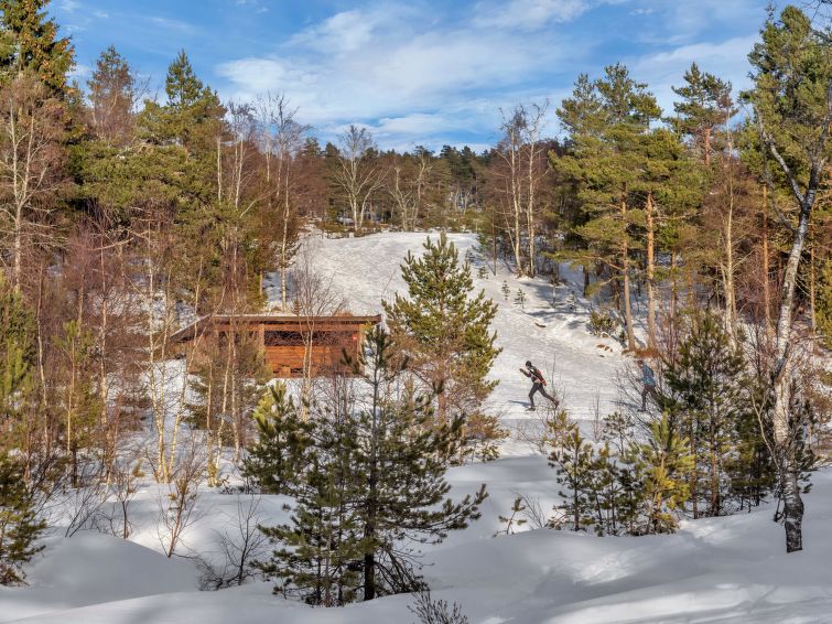 Foto van exterieur van Vakantiehuis Birkelandin de winter