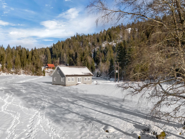 Foto van exterieur van Vakantiehuis Birkelandin de winter