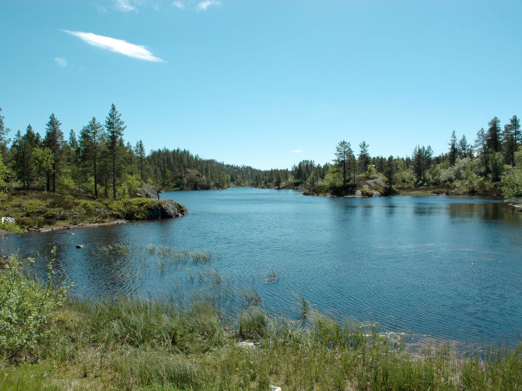 Foto van exterieur van Vakantiehuis Bortelid Foto van exterieur van Vakantiehuis Bortelid