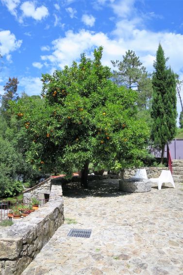 Foto van exterieur van Vakantiehuis Ponte de Lima Foto van exterieur van Vakantiehuis Ponte de Lima