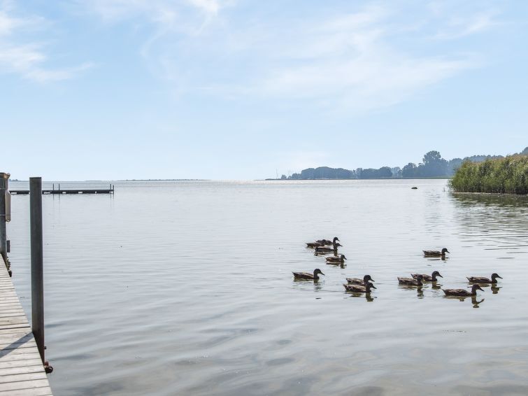 Foto van exterieur van Vakantiehuis Bromöllain de winter Foto van exterieur van Vakantiehuis Bromöllain de winter