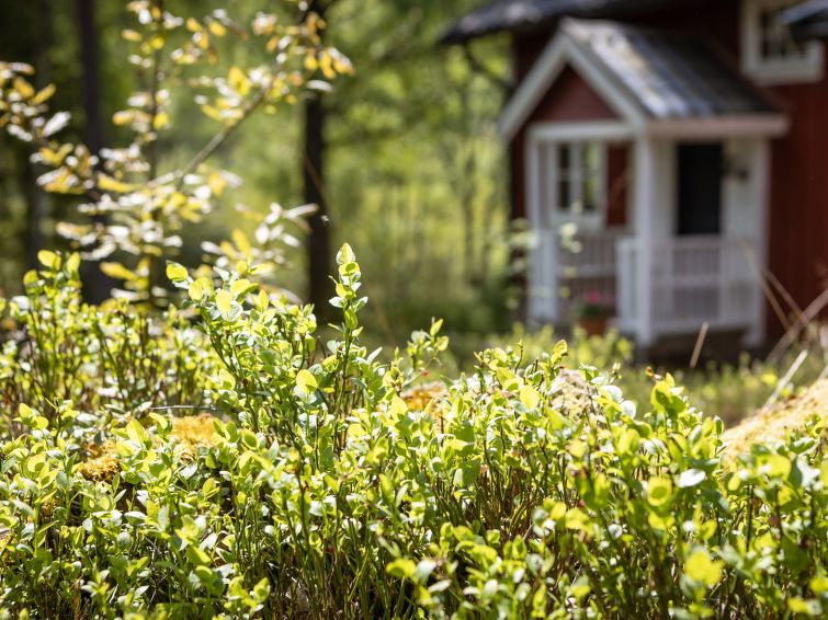 Foto van exterieur van Vakantiehuis Torestorp