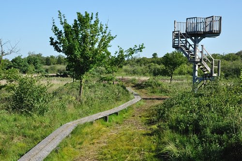 Korenburgerveen