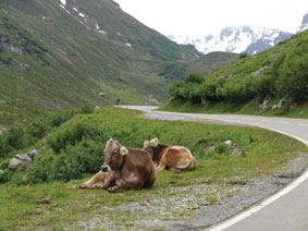 Sivretta Hochalpenstrae
