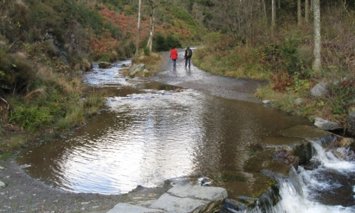 Omgeving B-LI-0131