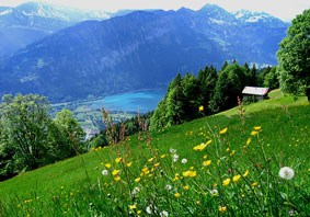 Thun