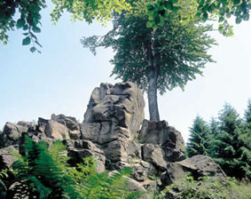 Wolfstein