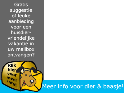 huisdiervriendelijke vakantiehuizen