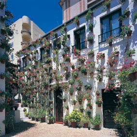 Bloemenpracht in de wijk Barrio de la Villa in Priego de Cordoba