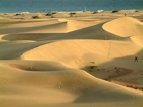 De prachtige duinen van Maspalomas op Gran Canaria