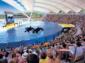 Orca-show in Loro Parque op Tenerife