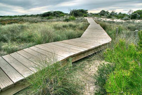 Het Parque Regional de Salinas y Arenales de San Pedro del Pinetar