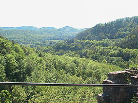 Les Vosges du Nord