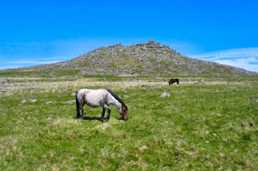 Bodmin Moor