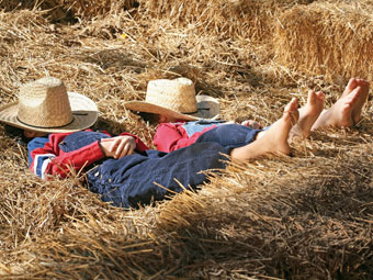 huren bij de boer, boerderijvakantie met een vakantiehuis op de boerderij