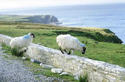 Clew Bay