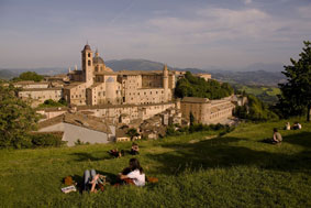 Urbino