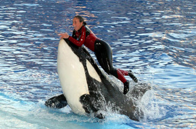 Dolfinarium Harderwijk