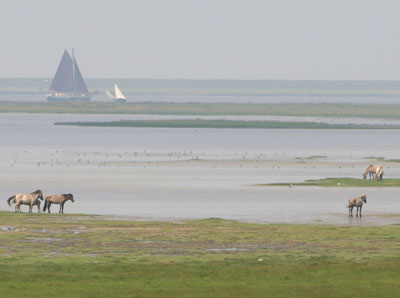 Natuur- en watersportgebied Lauwersmeer