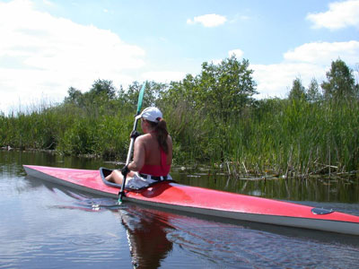 Kanon in de Weerribben