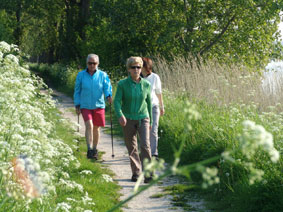 Natuurgebied de Pluimpot op Tholen