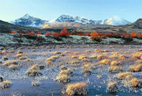 Nationaalpark Dovre