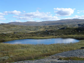 Hardangervidda